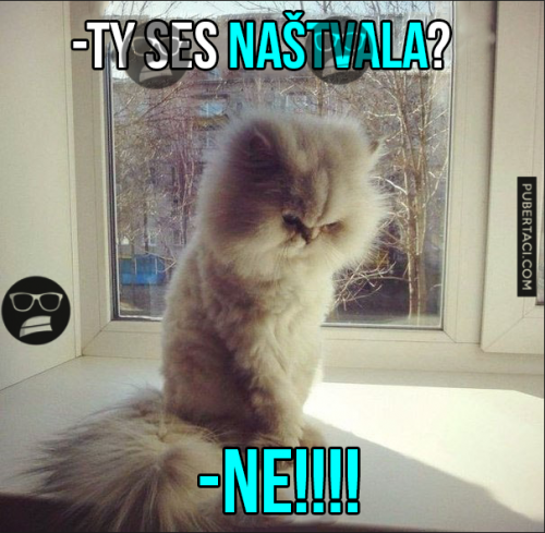  Naštvala ses 
