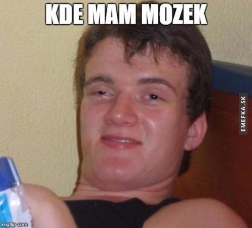  Kde mám mozek? 