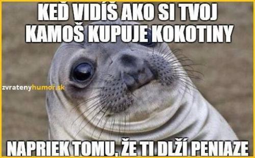  Kámoši :D 