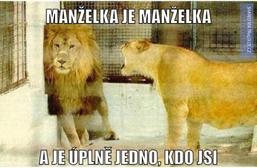  Manželka 