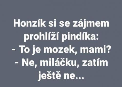Hozník