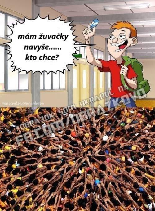 Žvejky!