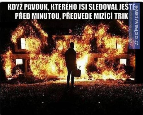  Kde je ten pavouk? 