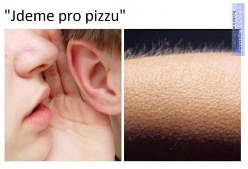  Pizza 