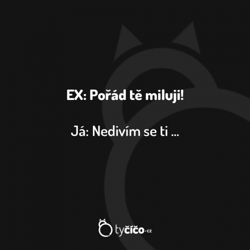  EX - Pořád tě miluji! 