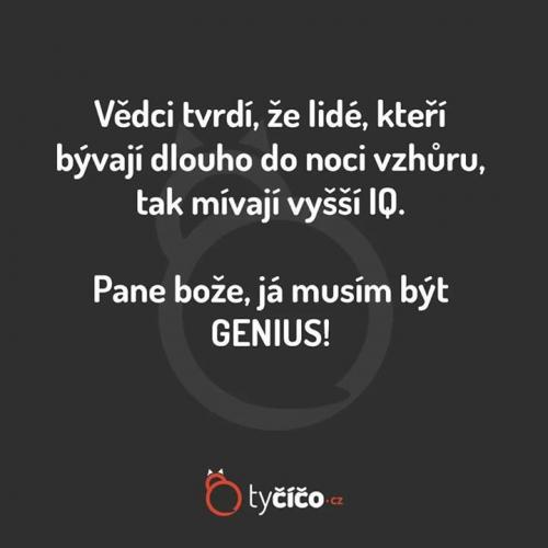 IQ