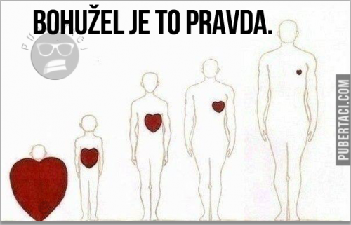  Bohužel je to pravda 