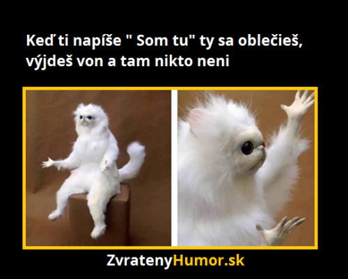  Tak co to je?! 