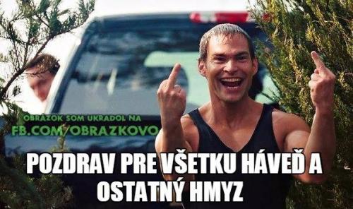  Pozdrav pro všechnu havěť 