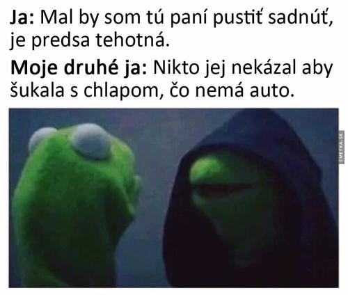  Těhotná paní 