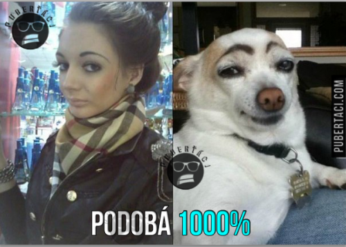  Podoba tam je 