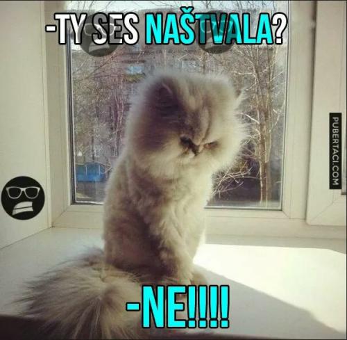 NEE