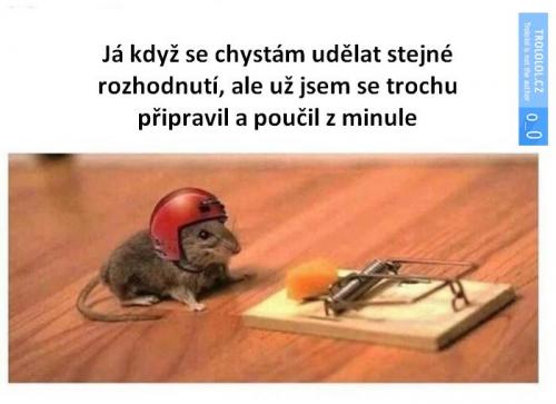  Rozhodnutí 