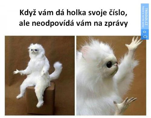  Zpráva 