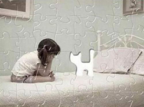 Kočičí puzzle 