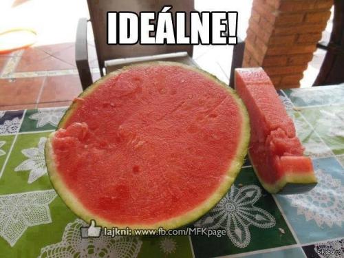  Ideální meloun 