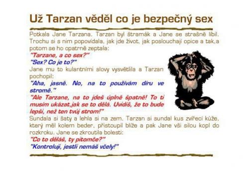  Tarzan 