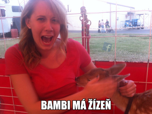  Bambi :D 