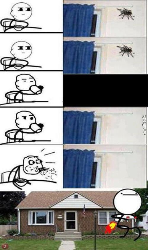  Pavouk 