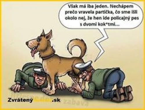  Policejní pes 