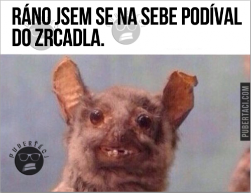  Po ránu 