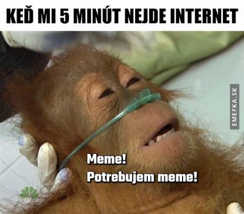  Internet 