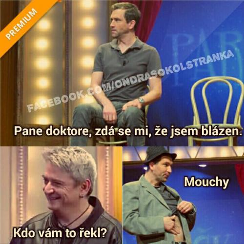  Blázen a mouchy  