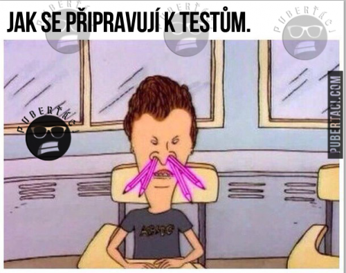  Jak se připravuji na test 