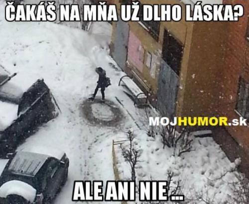 Čekání