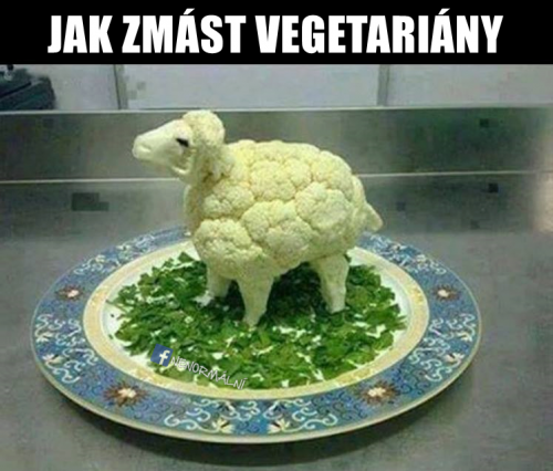 Jak zmást vegetariány