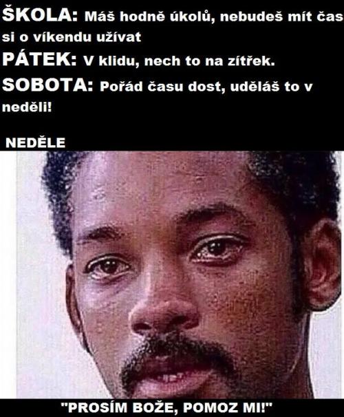  Škola 