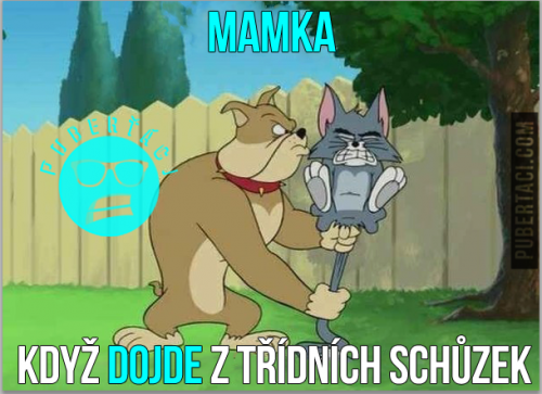  Třídní schůzky 