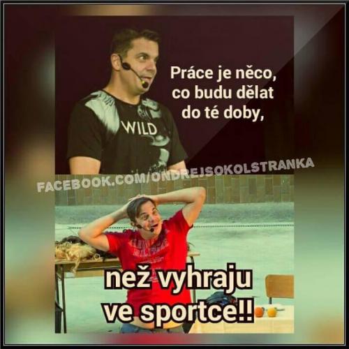  Práce  