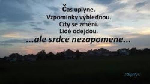  Srdce 