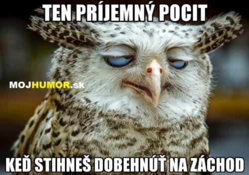  Nejpříjemnější pocit 