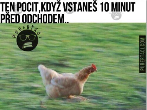 Když zaspíš