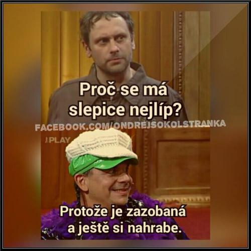 Zazobaná slepice 