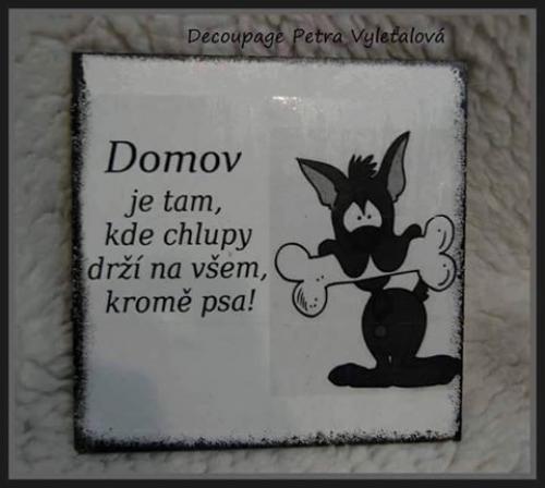  Domov 