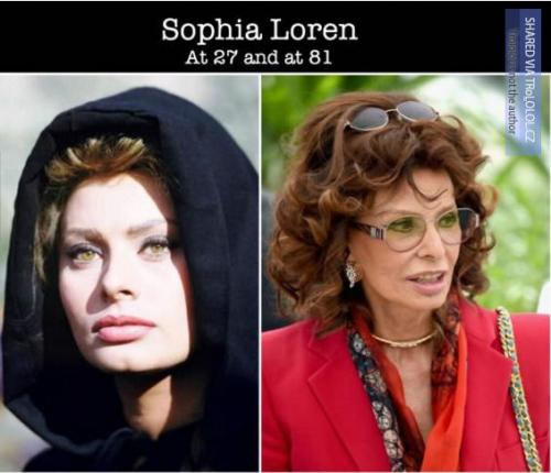 Sophia Loren