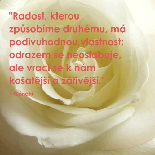  Radost 