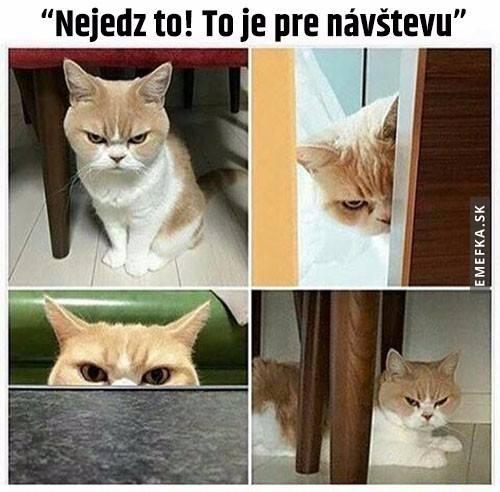  Návštěva 