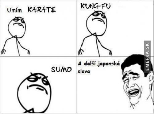  Karate 