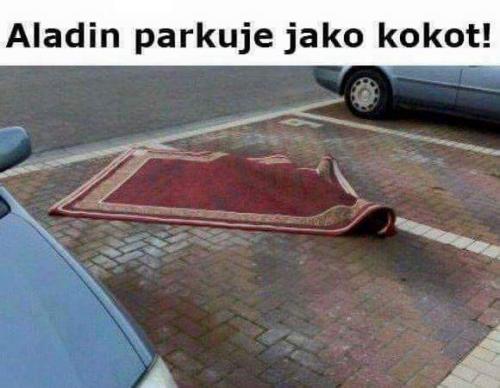  Aladin a parkování 