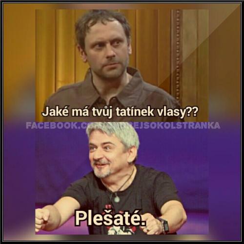  Plešaté vlasy  