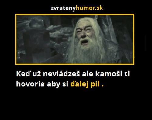  Kámoši 