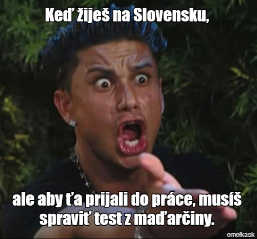  Slovensko 