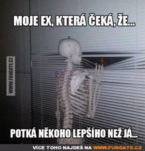 Čeká na někoho lepšího