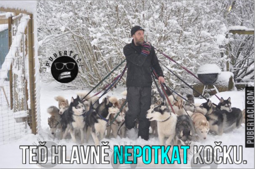 Na vycházce