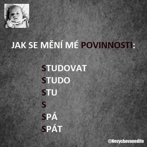  Povinnosti 