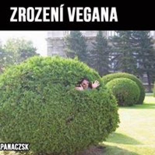  Zrození vegana 